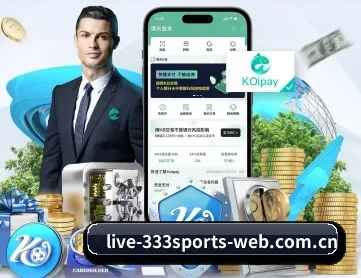 333体育 APP 深度功能